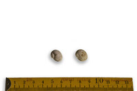 F 07634
<br/>
<br/>
<em></em>